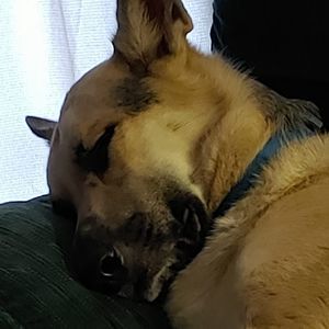 Meet your Posher, Philip